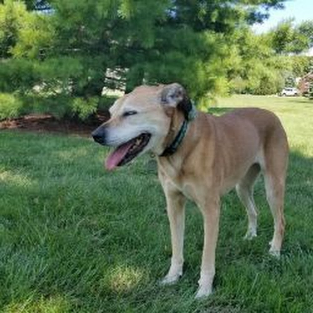 Meet your Posher, Shayna